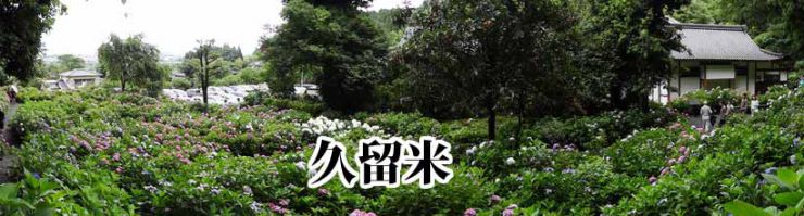 福岡県 メタトロン 特殊温熱療法