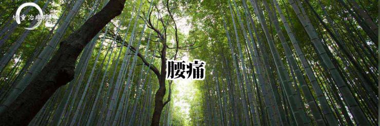 腰痛 山口県 山口市 小郡 整体・マッサージ腰痛 竹重治療院 山口市の整体・マッサージ 腰痛 腰痛 山口県 山口市 小郡 整体・マッサージ腰痛 竹重治療院 山口市の整体・マッサージ 腰痛