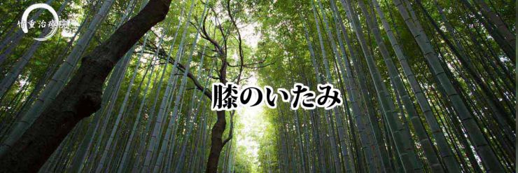 膝痛 山口県 山口市 小郡 整体・マッサージ 膝の痛み 竹重治療院 山口市の整体・マッサージ 膝の痛み