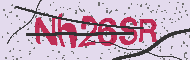 Captcha認証コード